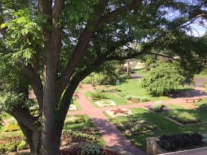 Tree with garden.