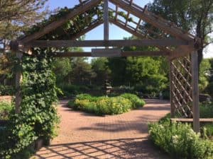 Herb garden with wooden trellis. 