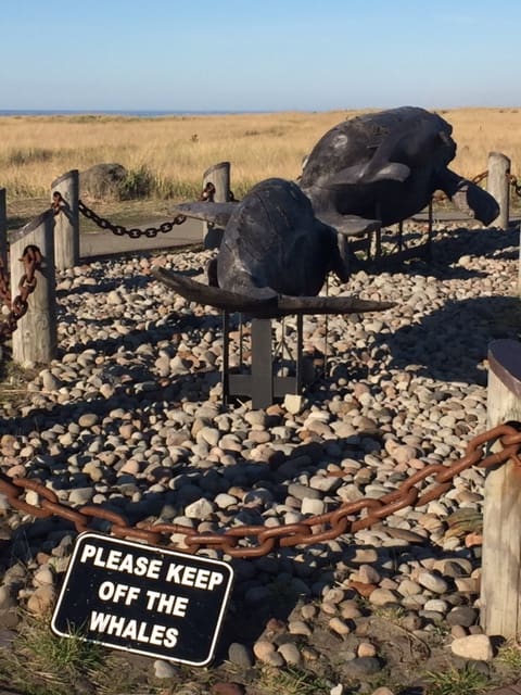 Two whale sculptures on the beach, chained off with a sign that reads, "Please keep off whales." 