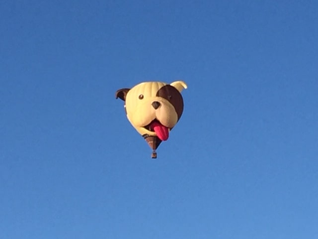 Hot air balloon shaped like a dog's face with tongue hanging out, flying against a blue sky.