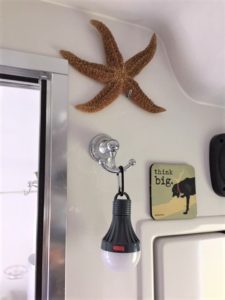 Photo of the hook referenced in article. A starfish on the wall above.