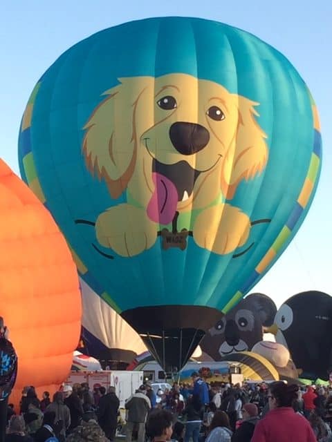 Light blue hot air balloon with a yellow dog on it with his tongue hanging out.  Still on the ground.