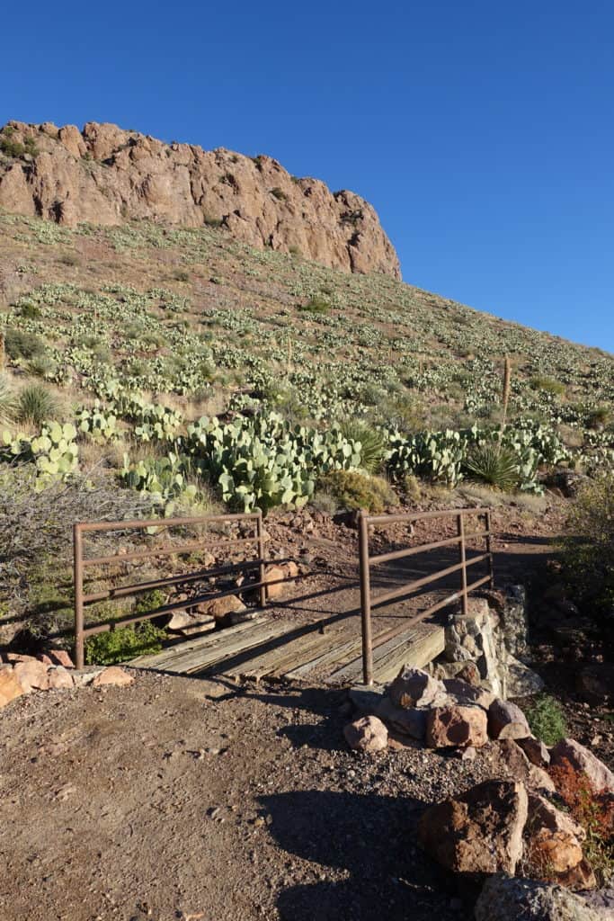 A hiking path with a wooden bridge. In the background is a hill filled with desert plants including cactus as well as rock outcroppings.