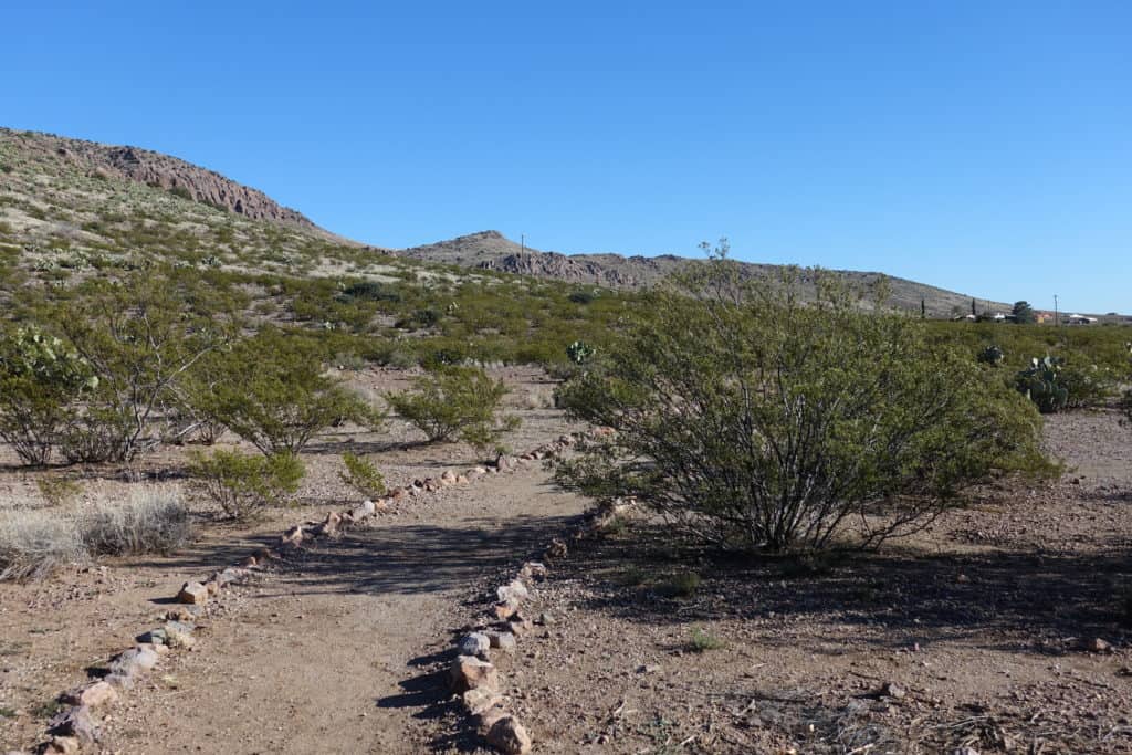 A hiking path lined in rocks leading up a desert hill with brush and cactus outside the walking path.