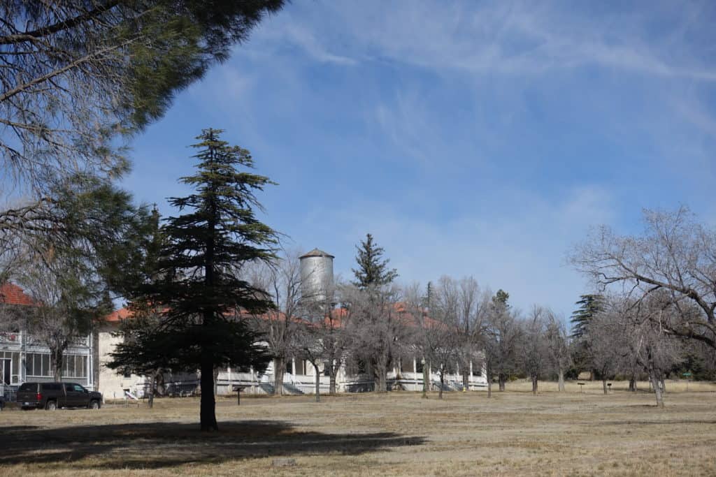 Lots of trees with a small silver water tower coming up behind.