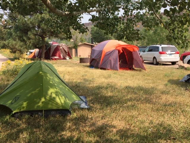 On grass, among greens, there are four different tents. Various colors and sizes.