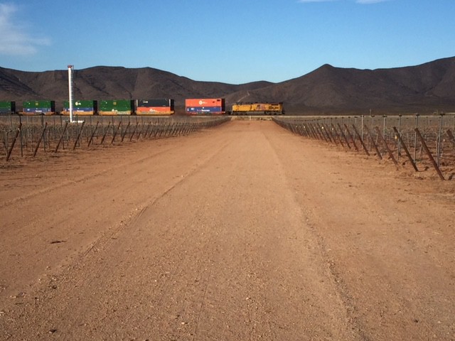 Dirt road through a winery in winter. At the end of the road a train is going back and there are mountains in the background.
